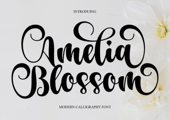 Amelia Blossom: A Font for Business Style