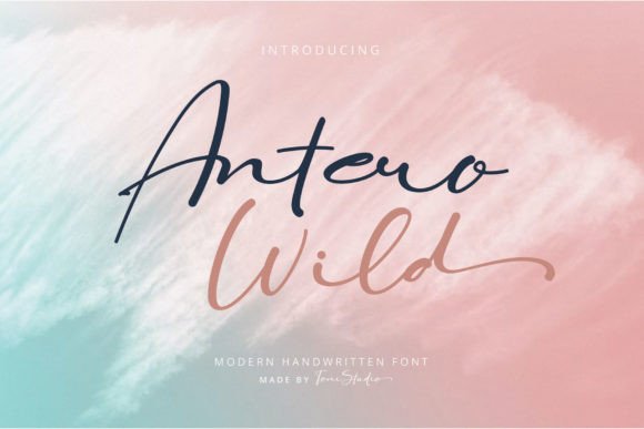 Antero Wild: A Charming Script Font