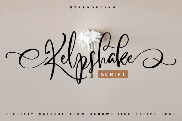 Kelpshake Font: Elevate Your Campaign Visuals with Style