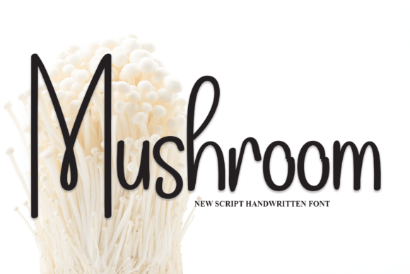 Mushroom Font: Elegant Script for Digital Design