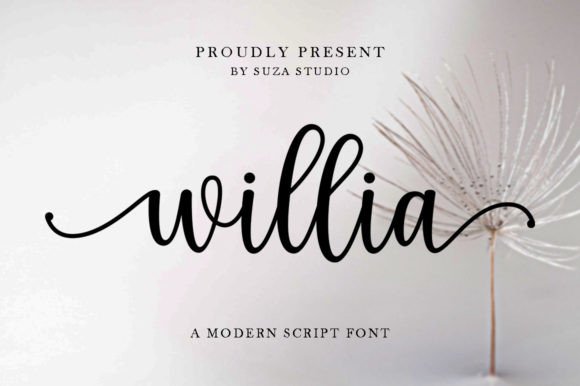 Willia: An Elegant Script Font for Editorial Design