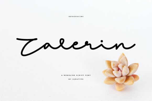 Zalerin: A Font for Elegant Branding